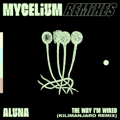 The Way I'm Wired (KILIMANJARO Remix) - Artwork